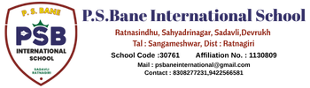 P. S. Bane International School
